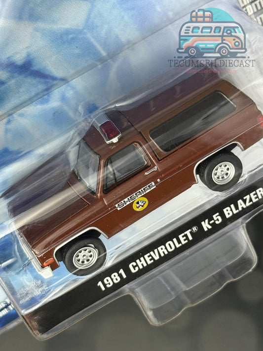 1981 Chevrolet K-5 Blazer - The X Files