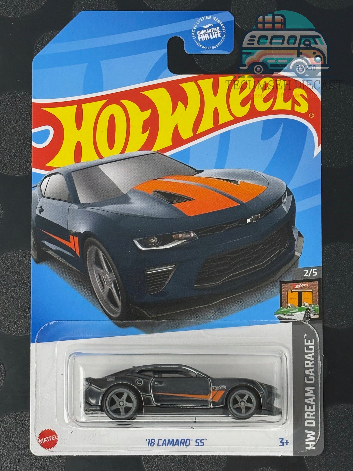 HWHTF31