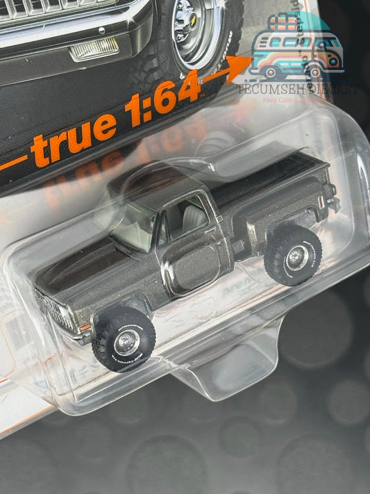 Chevy Silverado Stepside 1981 (polyester gris moyen)